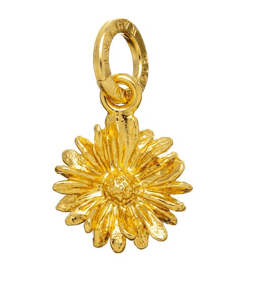 Charm Giovanni Raspini Mujer in Plata 08579 - 08579
